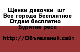 Щенки девочки 4шт - Все города Бесплатное » Отдам бесплатно   . Бурятия респ.